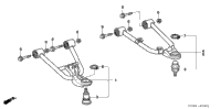 Front Arm ('06-)