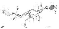 Wire Harness ('99-'04)