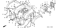 Rear Fender (Trx350tm/Fm)