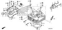 Cylinder Head (1)