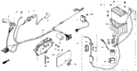 WIRE HARNESS