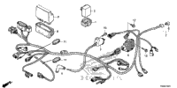 Wire Harness (2)