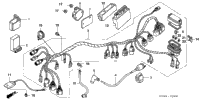 Wire Harness