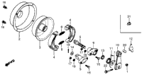 Rear Brake Drum