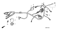 Wire Harness (Tm)
