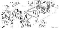 Wire Harness