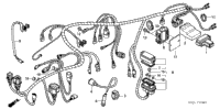 Wire Harness (Trx500fa'01-'04/Fga'04)