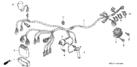 Wire Harness ('04,'05)