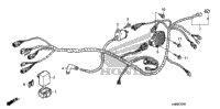 Wire Harness (Trx250tm)