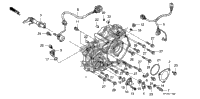 Rear Crankcase Cover