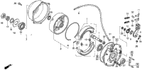 Rear Brake