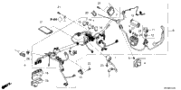 Wire Harness