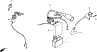 Wire Harness