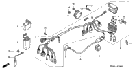 Wire Harness (Trx350tm/Fm)