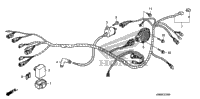 Wire Harness (Trx250tm)