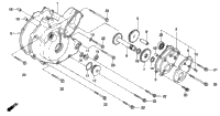 Left Crankcase Cover (1)