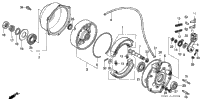 Rear Brake Panel