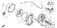 Rear Brake Panel