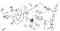 Wire Harness + Battery