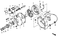Rear Brake Drum