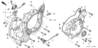 Rear Crankcase Cover