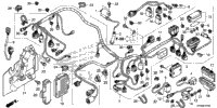 Wire Harness