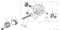 Crankshaft + Piston