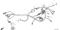 Wire Harness (1)