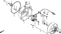 Left Crankcase Cover + Alternator
