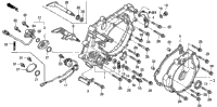 Rear Crankcase Cover
