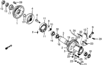 Rear Brake Drum
