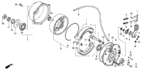 Rear Brake Panel