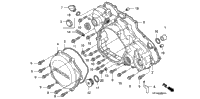 Right Crankcase Cover ('06-)