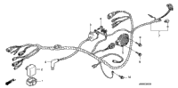 Wire Harness ('06-'07)