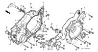 Crankcase Cover (Rr.)