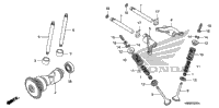 Camshaft + Valve