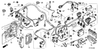 Wire Harness
