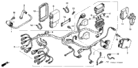 Wire Harness