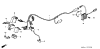 Wire Harness (Trx300ex'01-'06)