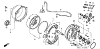 Rear Brake Panel
