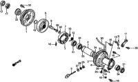 Rear Brake Drum