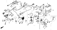 Wire Harness