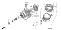 Crankshaft + Piston