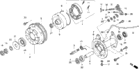 Rear Brake Drum