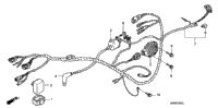Wire Harness ('08)