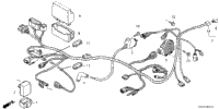 Wire Harness (2)