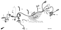 Wire Harness