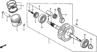 Crankshaft + Piston