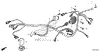 Wire Harness (1)