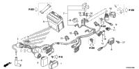 Wire Harness